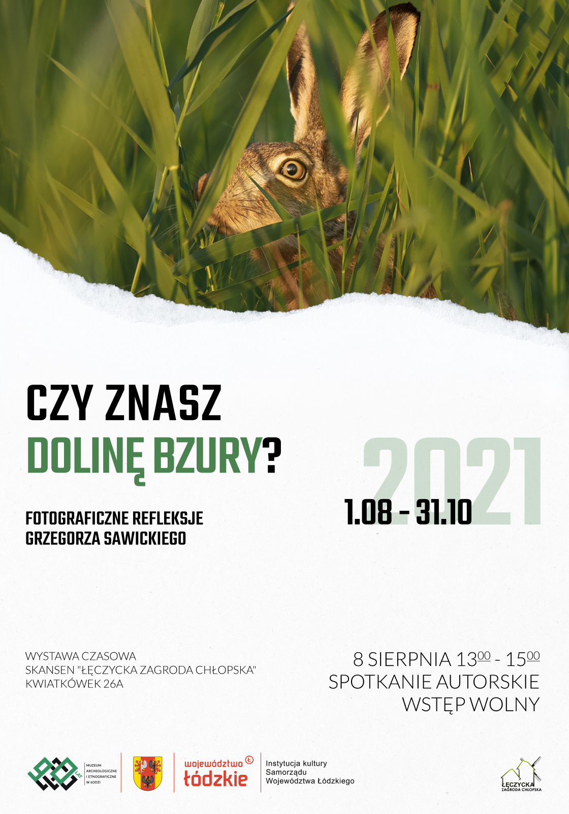 dolina bzury plakat1s